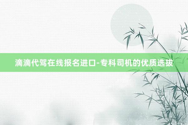 滴滴代驾在线报名进口-专科司机的优质选拔