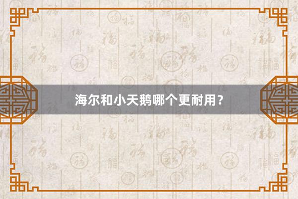 海尔和小天鹅哪个更耐用？