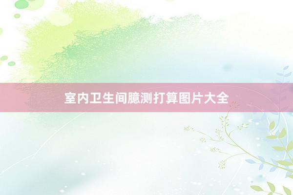室内卫生间臆测打算图片大全