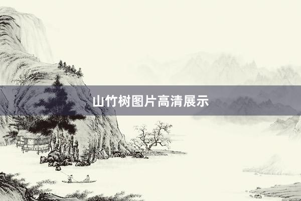 山竹树图片高清展示