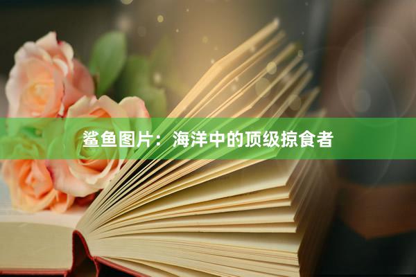 鲨鱼图片：海洋中的顶级掠食者